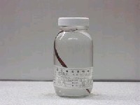 藏品(棘馬鞭魚)的圖片